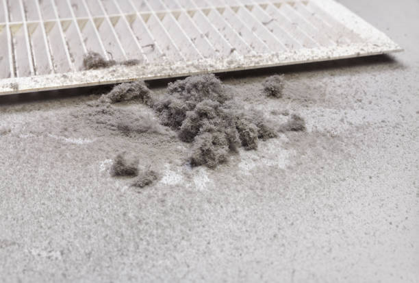 Best Home Air Vent Cleaning  in Whitewater, KS